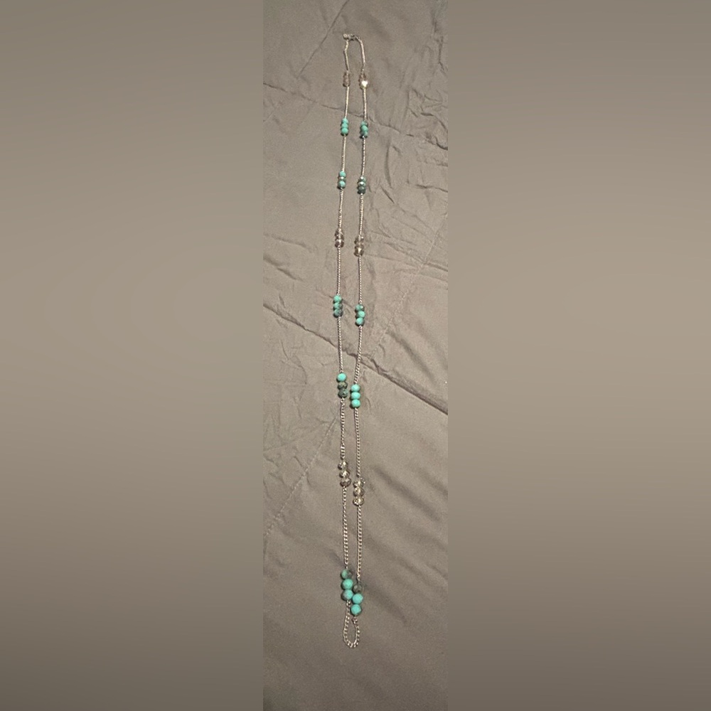 Long Beaded Necklace with Silver Chain